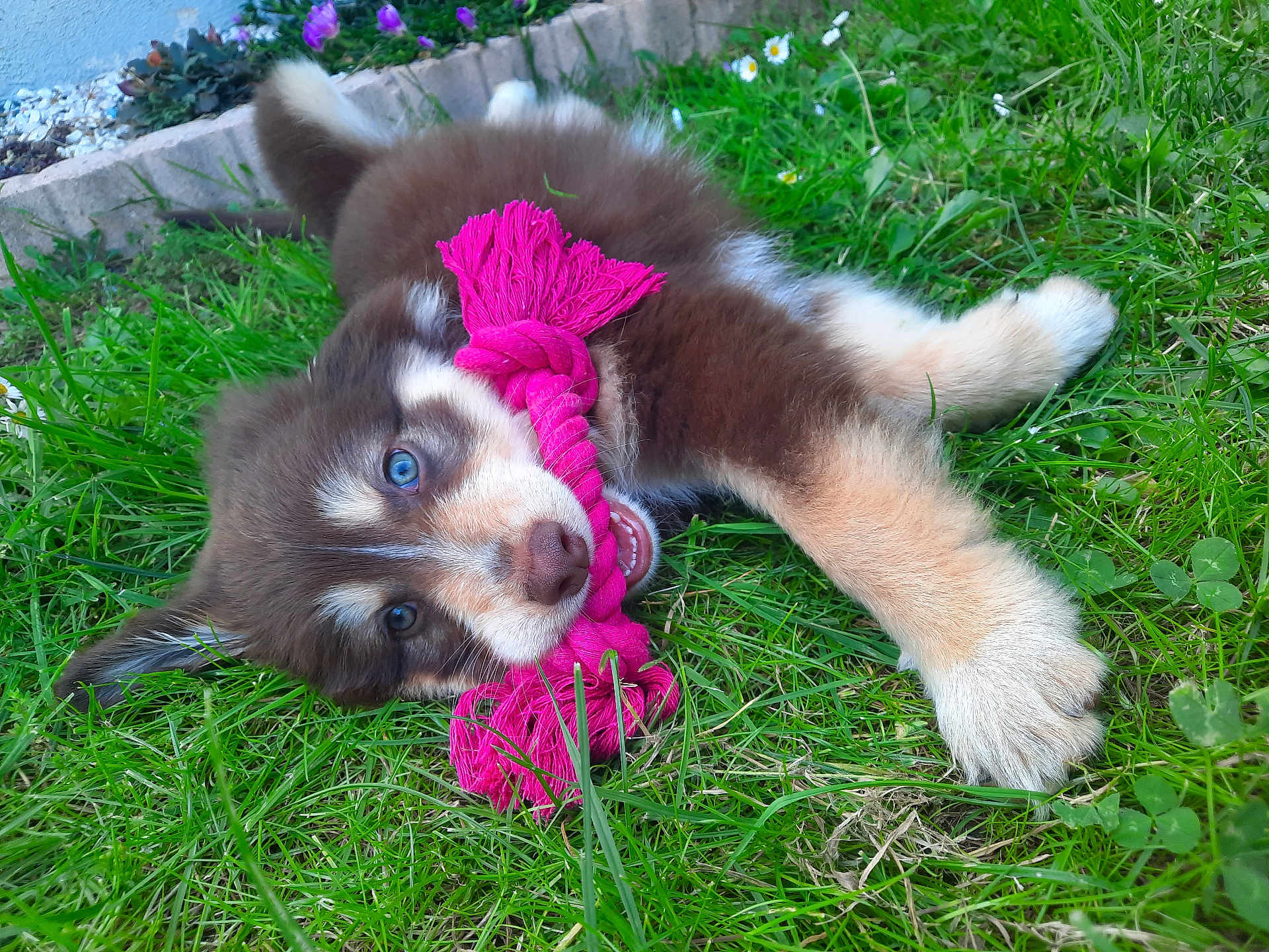 Luna