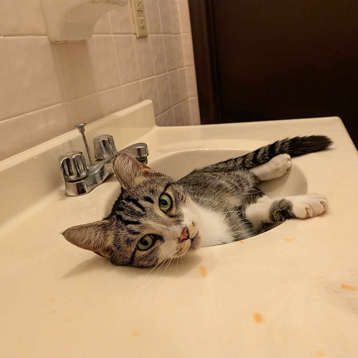 Little Guy