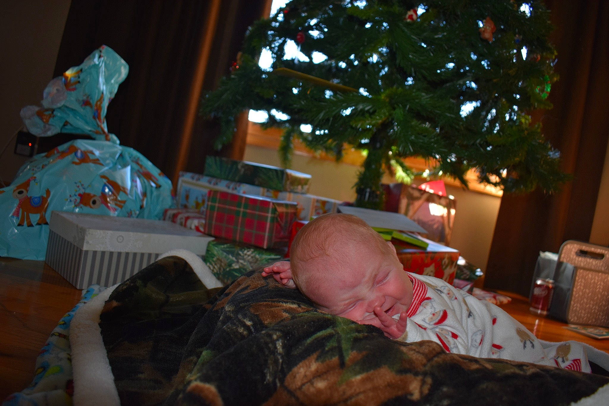 Hunter joined the competition — help win amazing prizes! christmas, decor, event, holiday, home, house, person, plant, room, tree