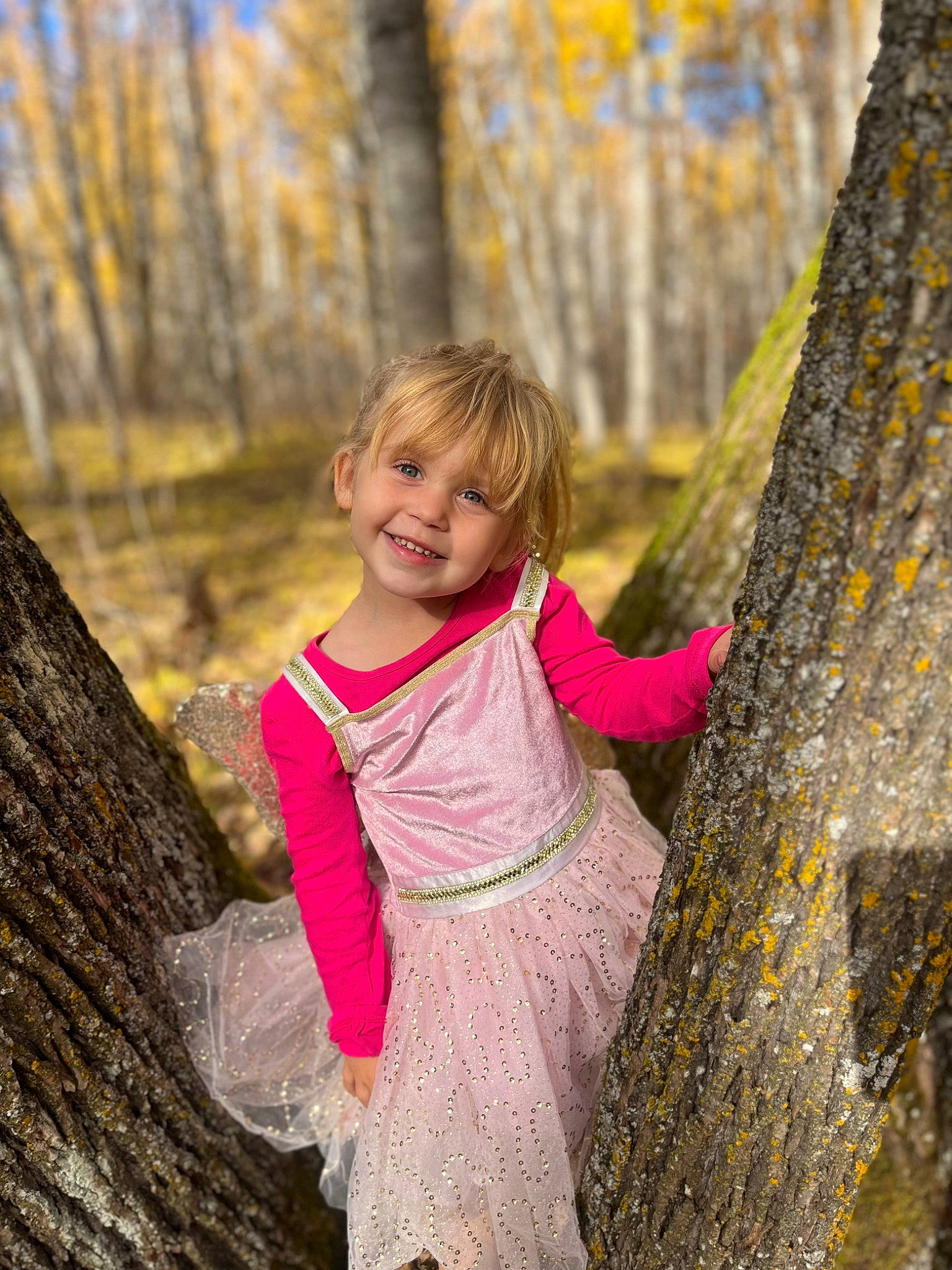 Freya is registered to the contest to win money with this photo: branch, dress, eye, face, forest, grass, happy, joy, leisure, long_hair, natural_landscape, people_in_nature, person, plant, smile, toddler, tree, trunk, twig, wood