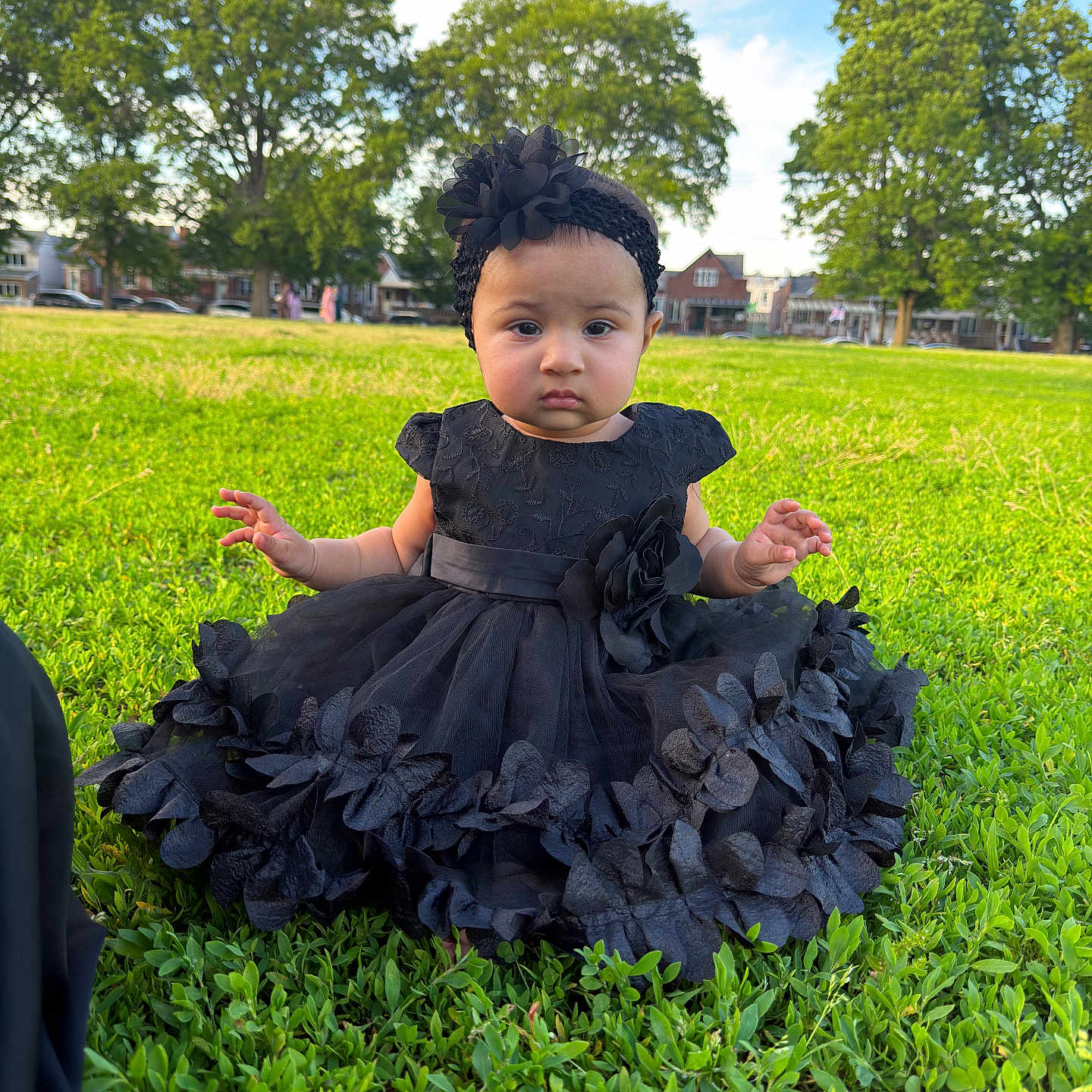 Ayesha is registered to the contest to win money with this photo: baby, child, grass, greenery, dress, black_dress, headband, flower, outdoor, park, trees, nature, person, portrait, young_child, sitting, sunlight, daylight, face, expression