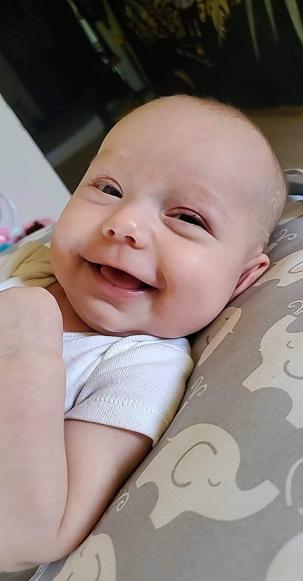 Evelyn is registered to the contest to win money with this photo: baby, baby_laughing, baby_products, baby_toddler_clothing, cheek, child, comfort, eyelash, fun, happy, iris, joy, laugh, linens, lip, nose, person, portrait_photography, sitting, skin