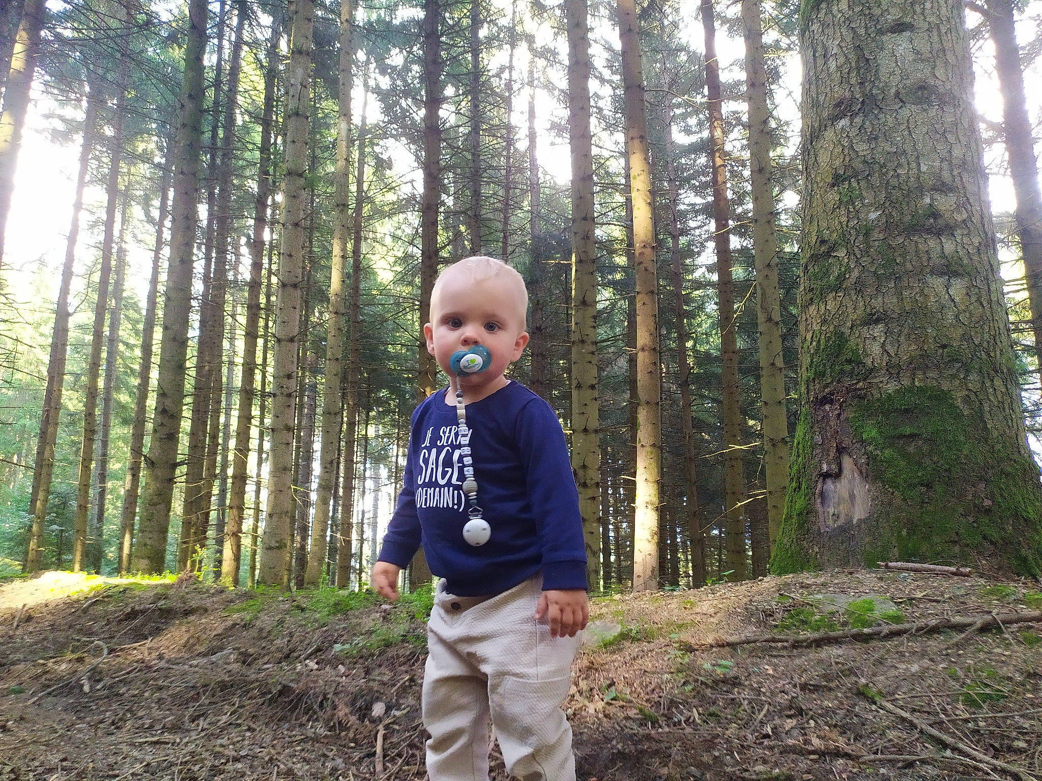 Aloïs participe au concours pour gagner de l'argent avec cette photo : child, deciduous, forest, grass, leaf, leisure, natural_landscape, people_in_nature, person, plant, recreation, smile, soil, t_shirt, temperate_broadleaf_and_mixed_forest, terrestrial_plant, toddler, tree, trunk, wood