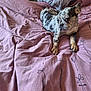 dog, bed, pink_bedspread, pillow, indoor, pet, resting, spotted_dog, curious, cozy, furniture, animal, domestic, canine, sleeping_area, patterned_bedspread, comfort, relaxed, laying_down, household