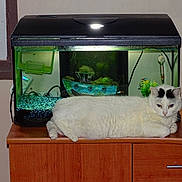 Lilly participe au concours pour gagner de l'argent avec cette photo :