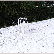 Tommy a rejoint le concours — aidez-le/la à gagner de superbes lots !