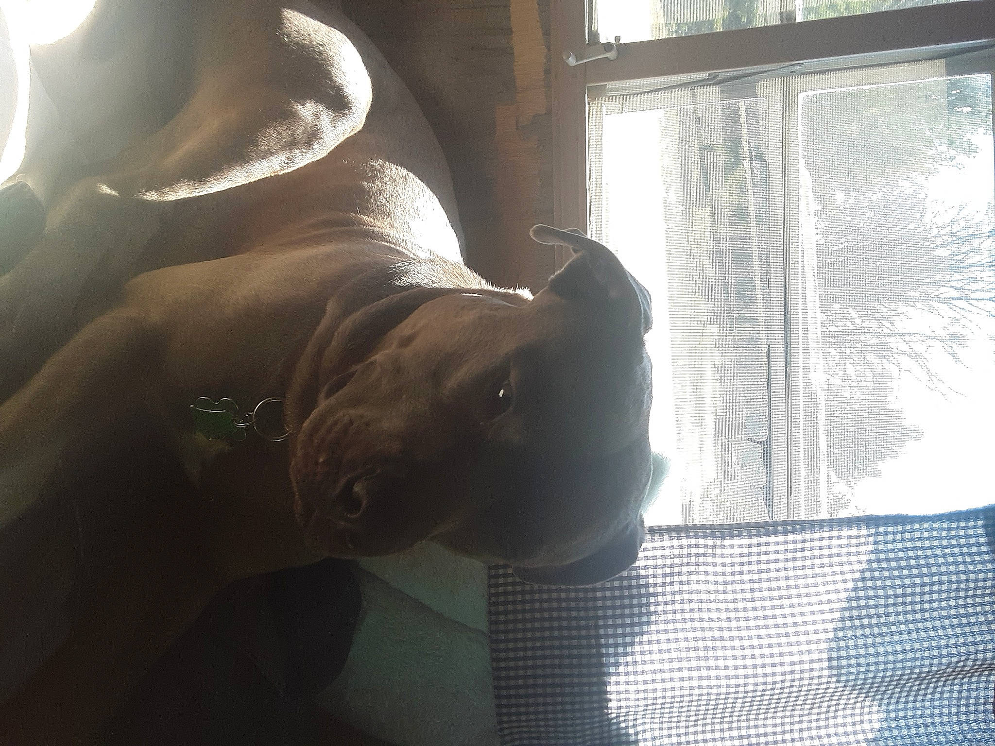 Kratos joined the competition — help win amazing prizes! hand, light, metal, photography, room, sunlight, tints_and_shades, window