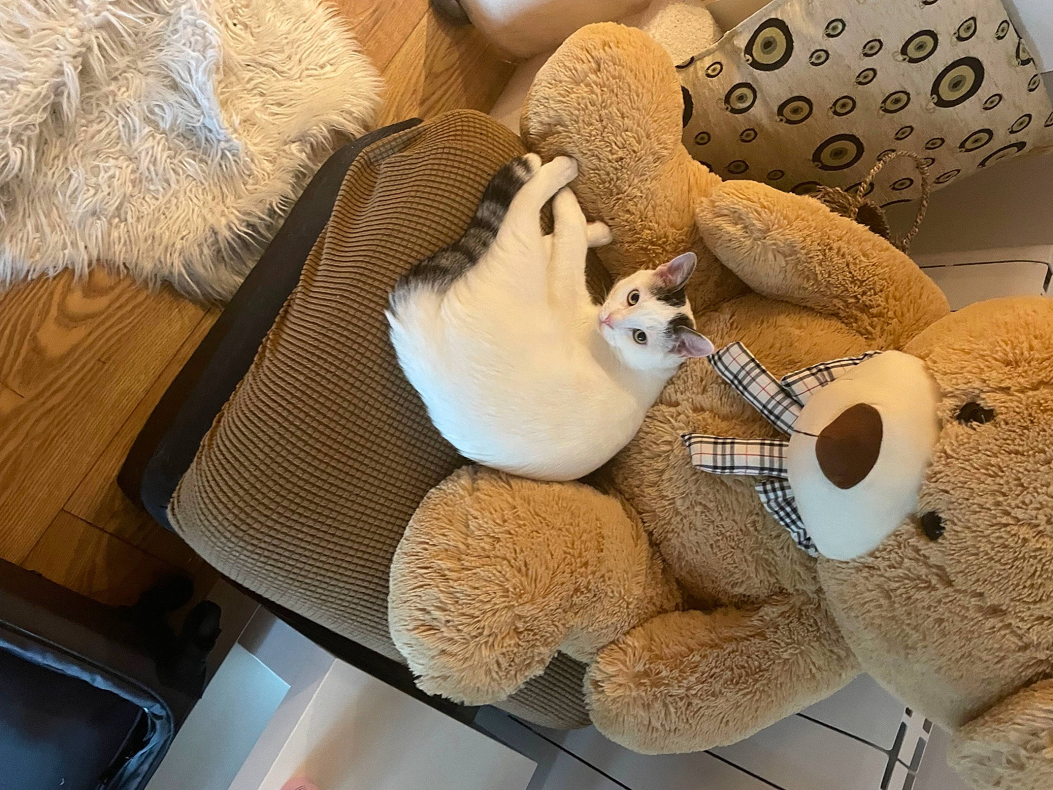 Seb is registered to the contest to win money with this photo: baby_toys, comfort_food, design, fashion_accessory, fur, linens, organism, paper, paper_product, pattern, plush, room, still_life, still_life_photography, stuffed_toy, teddy_bear, textile, toy, wood