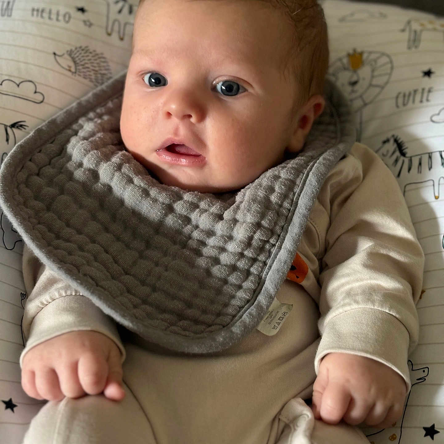 Noah is registered to the contest to win money with this photo: baby, blanket, cushion, face, head, homedecor, person, photography, portrait