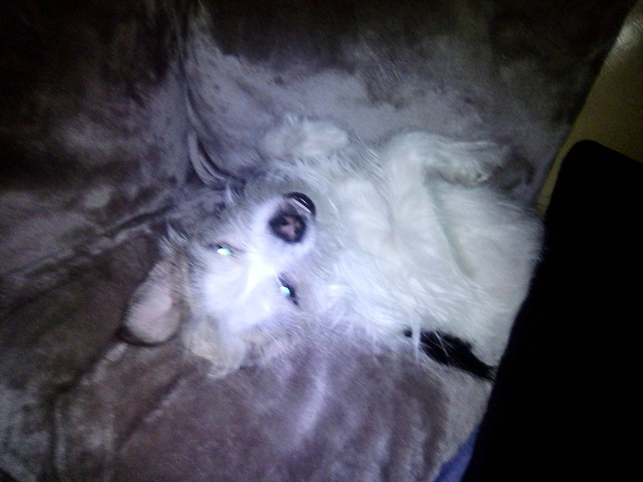 Nabyssa participe au concours pour gagner de l'argent avec cette photo : black_and_white, eye, iris