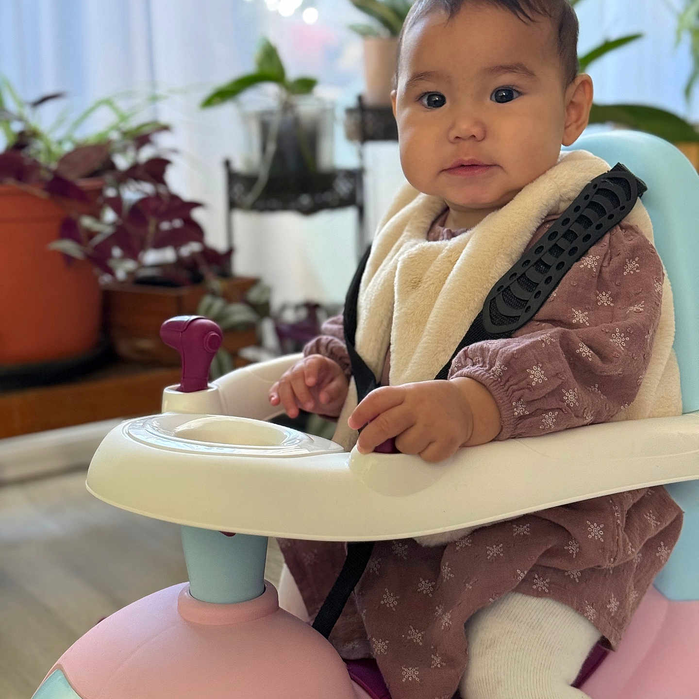 Elena participe au concours pour gagner de l'argent avec cette photo : baby, bodypart, chair, clothing, face, finger, flower, flowerarrangement, furniture, hand, head, highchair, hosiery, person, photography, plant, portrait, pottedplant, sitting, sock