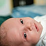 baby, infant, face, close_up, eyes, skin, blanket, lying_down, expression, newborn, portrait, curious, soft_focus, indoors, head, child, young, cute, small, peaceful