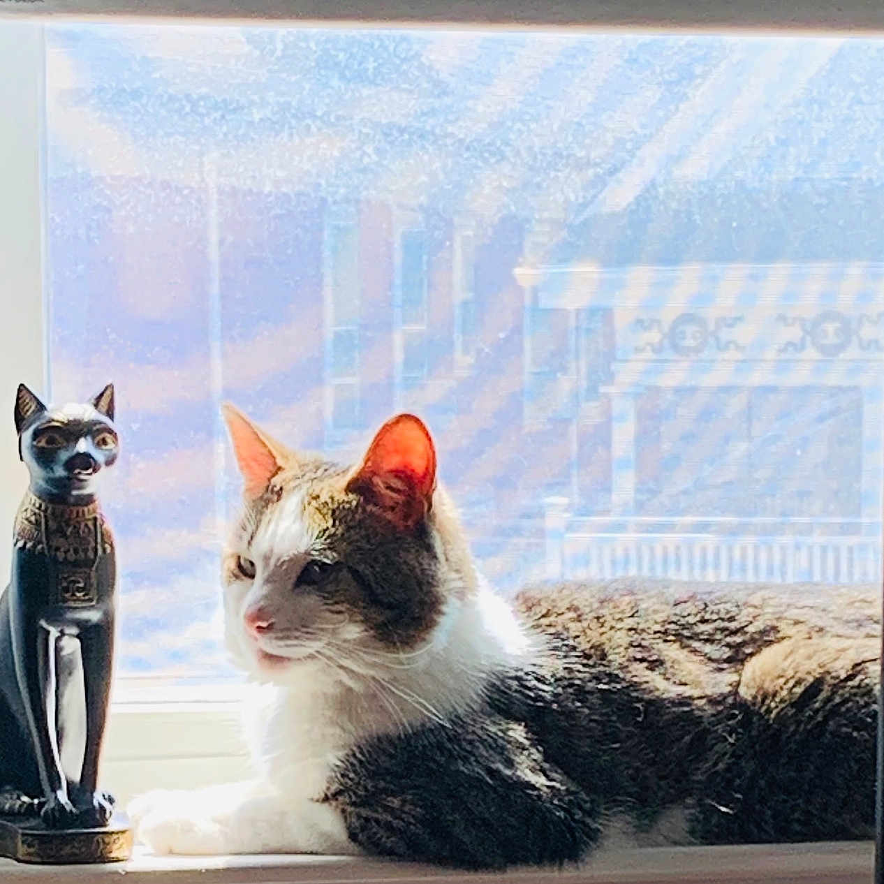 Mischief