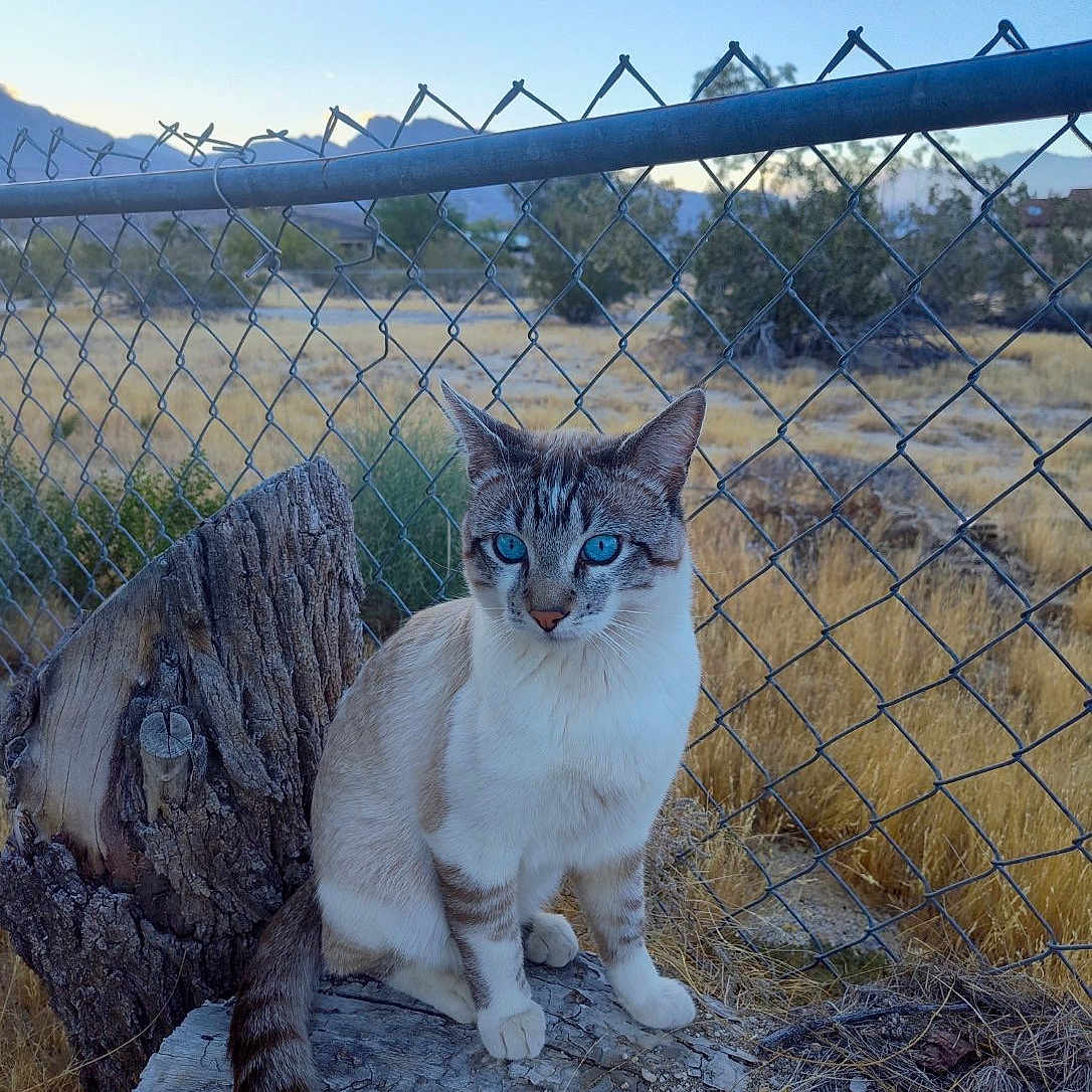 Sebastian