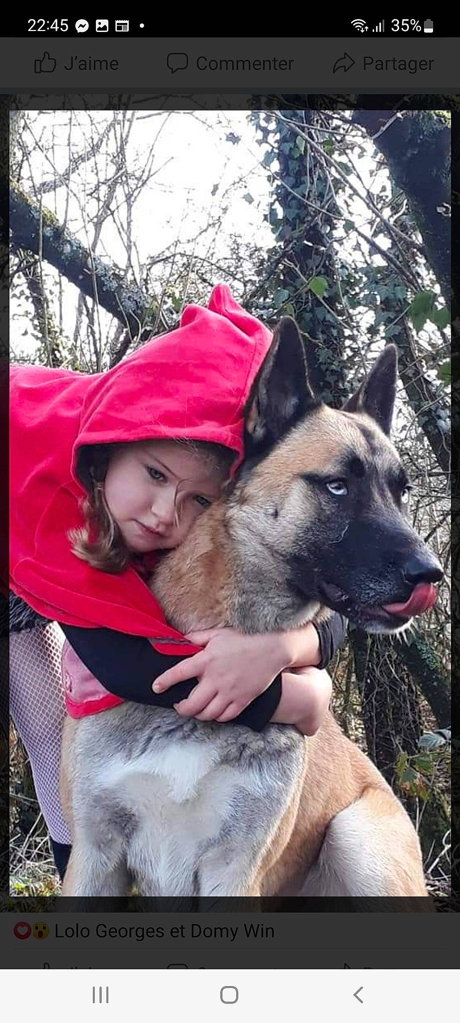 Loup participe au concours pour gagner de l'argent avec cette photo : canidae, carnivore, companion_dog, dog, dog_breed, fashion_accessory, fawn, fur, happy, herding_dog, non_sporting_group, recreation, smile, sporting_group, tree, working_dog