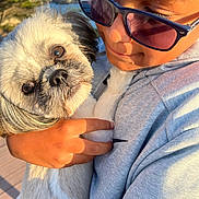 Zuey joined the competition — help win amazing prizes! person, dog, sunglasses, close_up, outdoor, sunlight, pet, affection, cuddling, animal, face, hand, fur, casual_clothing, portrait, love, nature, daylight, emotion, companion