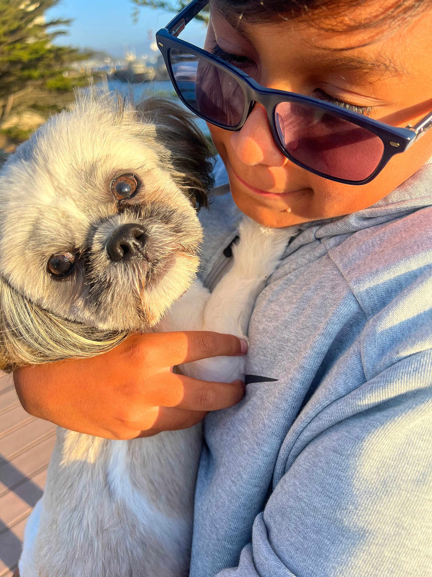Zuey joined the competition — help win amazing prizes! person, dog, sunglasses, close_up, outdoor, sunlight, pet, affection, cuddling, animal, face, hand, fur, casual_clothing, portrait, love, nature, daylight, emotion, companion
