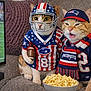 cat, football, helmet, scarf, popcorn, television, sports, jersey, couch, orange_cat, tabby_cat, patriotic, american_flag, indoor, watching, costume, cute, animal, team_spirit, relaxing
