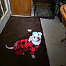 Gizmo joined the competition — help win amazing prizes! animal, blue_hair, brown_rug, casual, checkered_pattern, cozy, curious, dog, dog_crate, floor, furniture, indoor, looking_up, pet, red_clothing, room, sitting, toy, white_dog, wooden_door