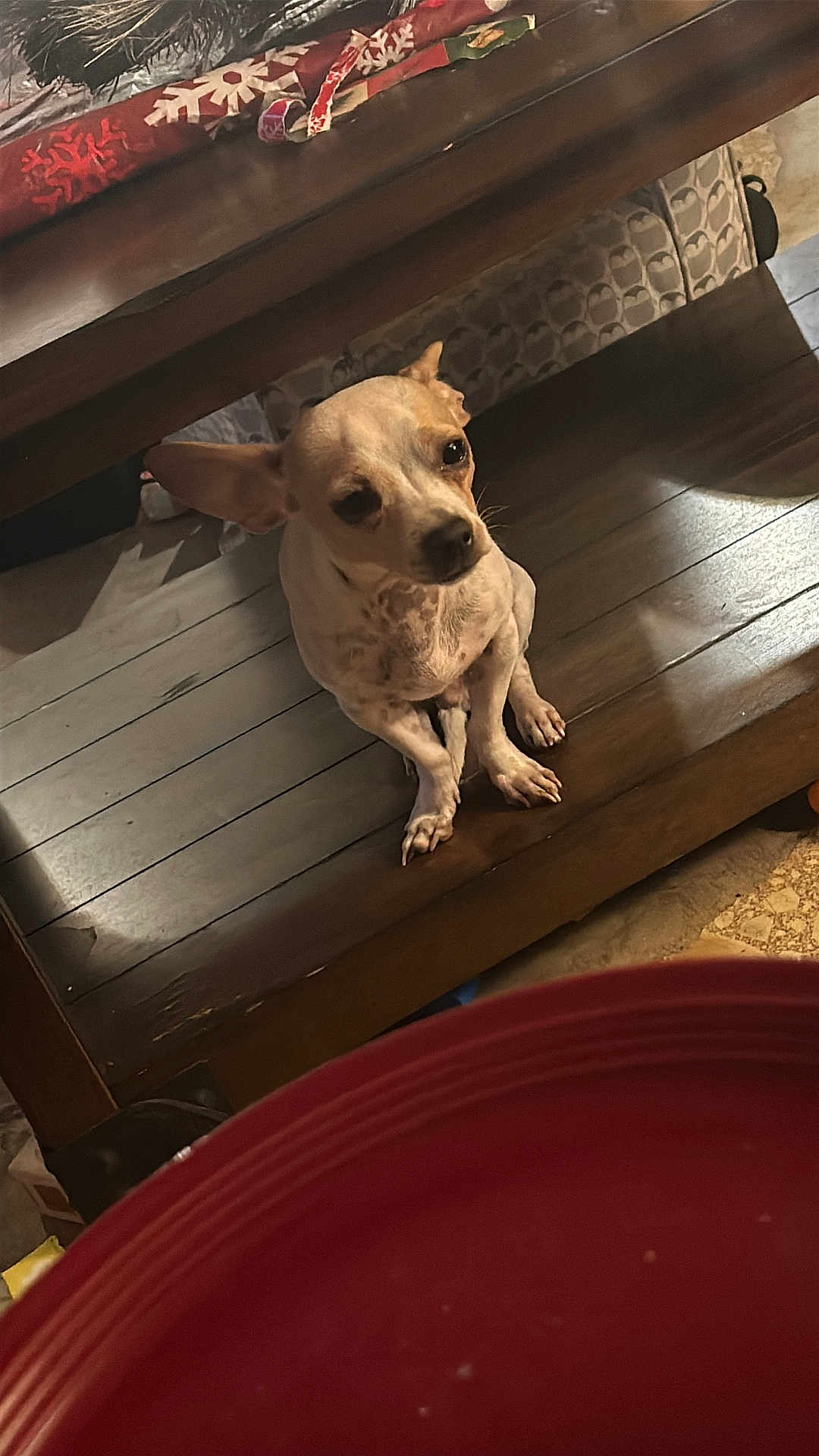 Sammy