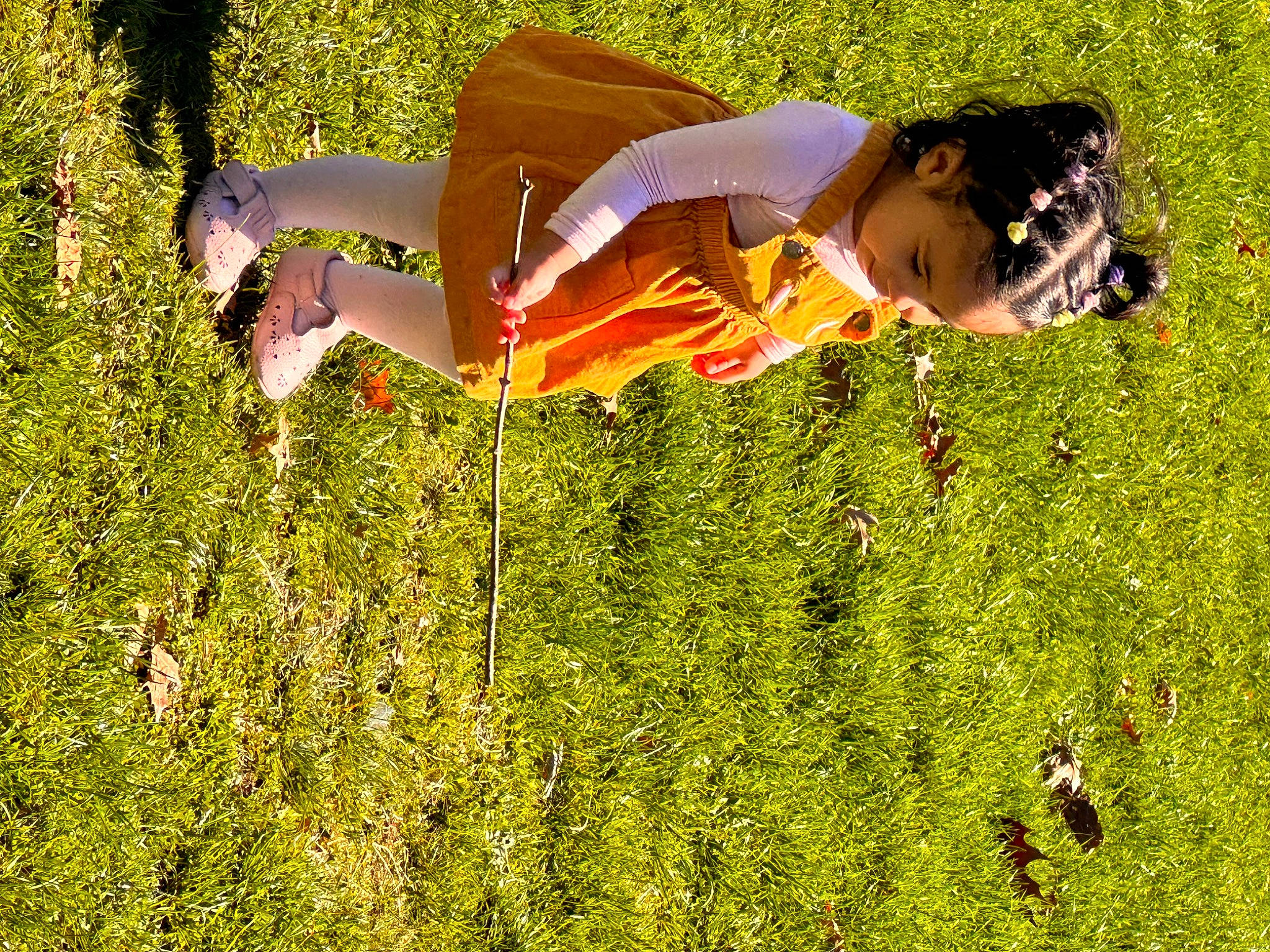 Elsa joined the competition — help win amazing prizes! field, flower, fun, grass, grass_family, grassland, happy, human_leg, landscape, lawn, leisure, meadow, pasture, people_in_nature, person, plant, prairie, recreation, sky, spring