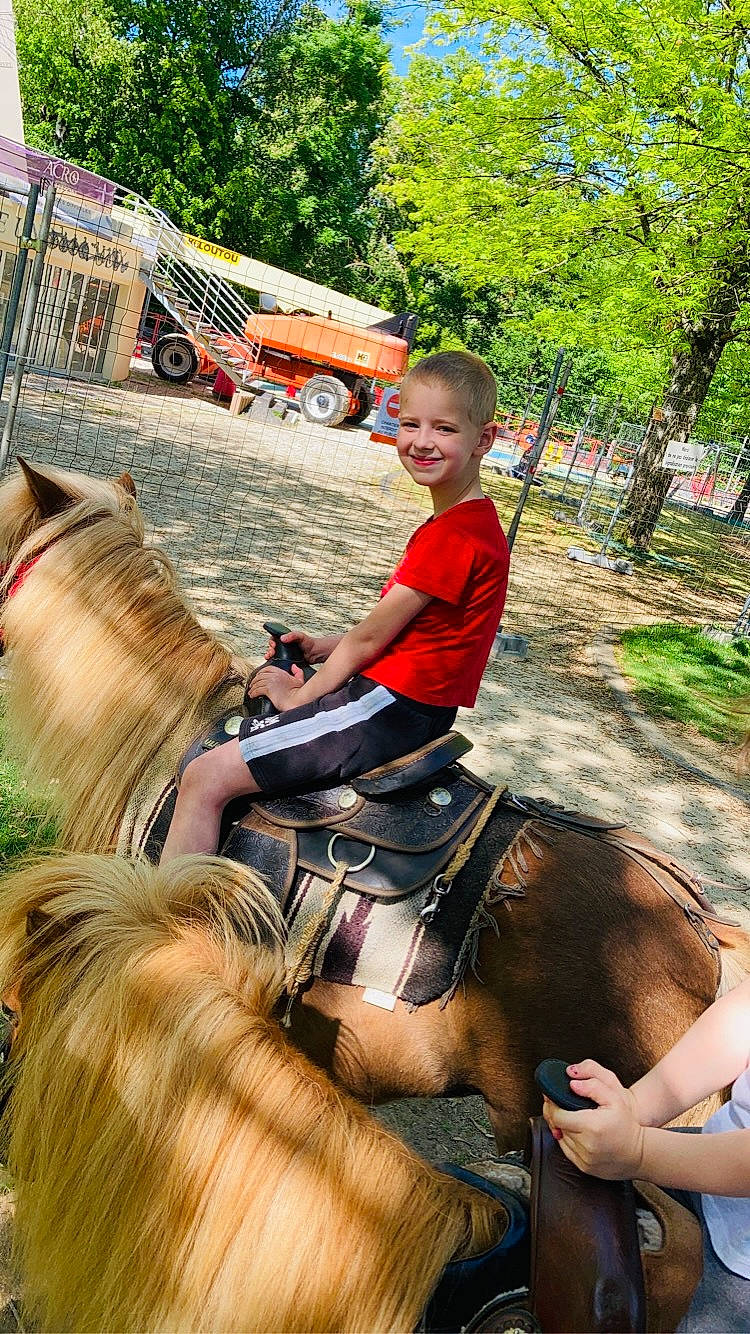 Jules a rejoint le concours — aidez-le/la à gagner de superbes lots ! bridle, equestrian_sport, equestrianism, fun, horse, horse_supplies, horse_tack, joy, landscape, leisure, mammal, mane, person, plant, recreation, rein, saddle, smile, summer, tree