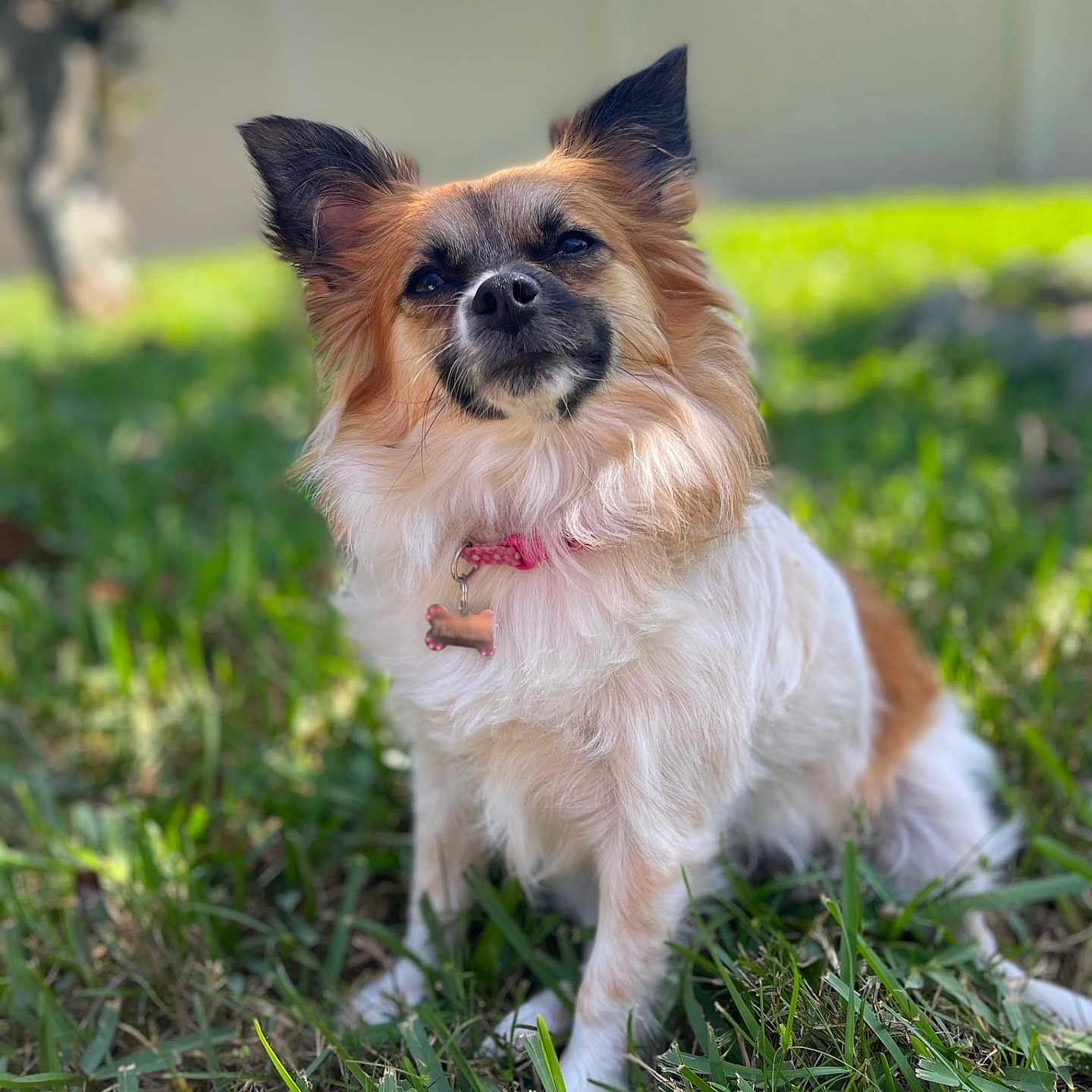 Princess