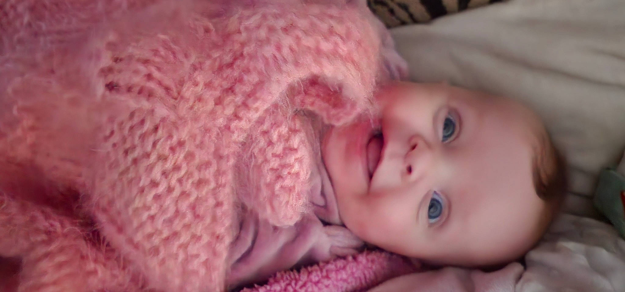 Indie joined the competition — help win amazing prizes! baby, baby_toddler_clothing, cap, cheek, child, close_up, comfort, ear, eyelash, fashion_accessory, headgear, iris, joy, lip, magenta, nose, person, pink, skin, smile