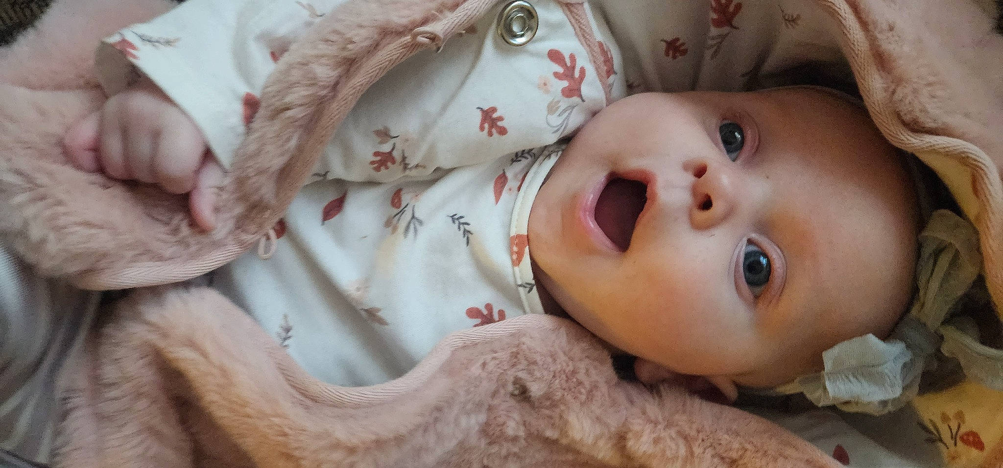 Indie joined the competition — help win amazing prizes! baby, baby_toddler_clothing, cheek, child, close_up, comfort, eyebrow, eyelash, fur, happy, iris, linens, lip, mammal, nose, person, pink, skin, sleeve, textile