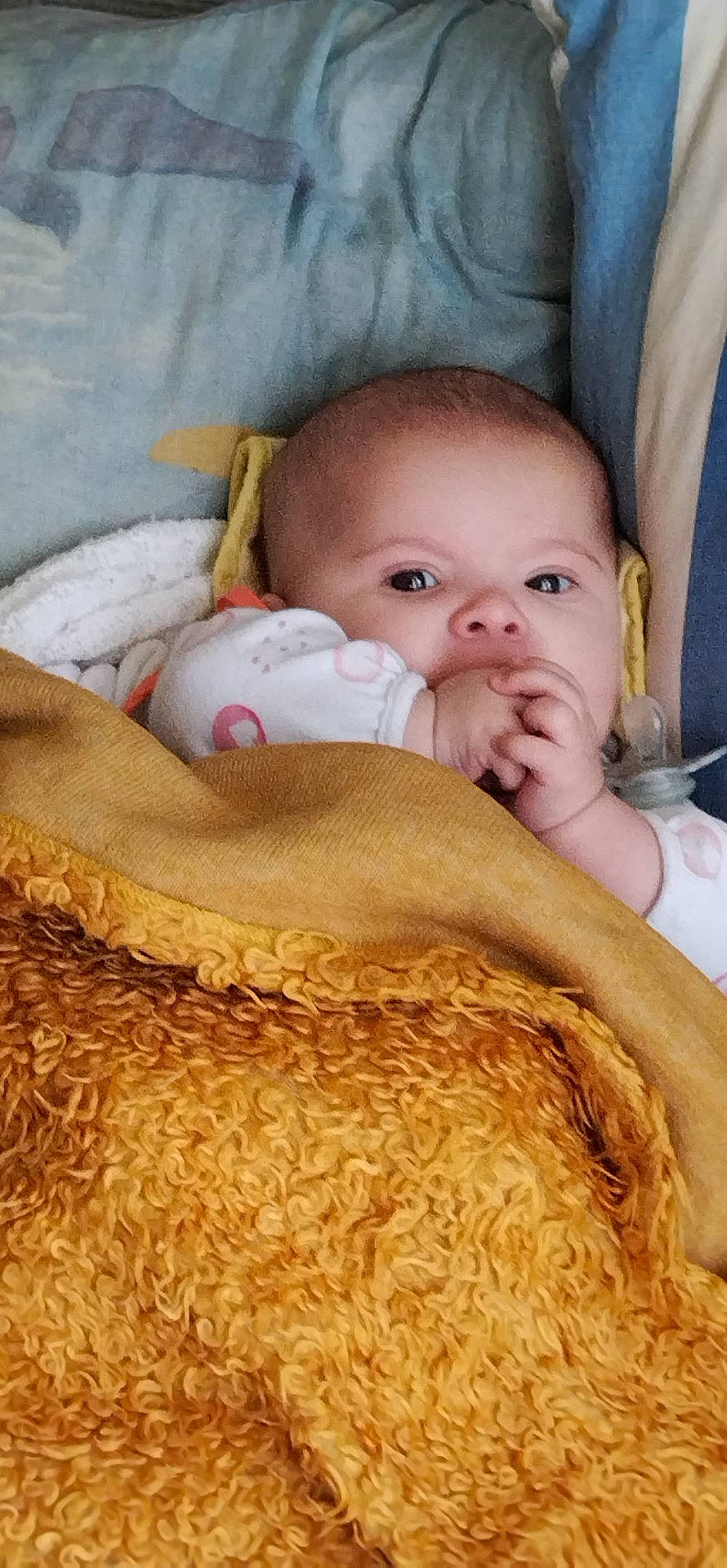 Lea participe au concours pour gagner de l'argent avec cette photo : baby, baby_products, baby_sleeping, baby_toddler_clothing, cheek, child, chin, comfort, fur, happy, linens, pattern, people_in_nature, person, room, skin, sleep, toddler, wood, wool