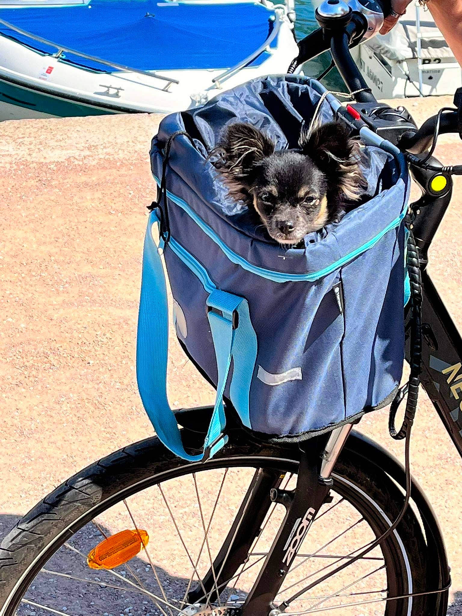 Layka participe au concours pour gagner de l'argent avec cette photo : automotive_tire, bicycle, bicycle_accessory, bicycle_fork, bicycle_frame, bicycle_handlebar, bicycle_part, bicycle_saddle, bicycle_tire, bicycle_wheel, bicycle_wheel_rim, bicycles_equipment_and_supplies, blue, crankset, hub_gear, motor_vehicle, rim, sports_equipment, tire, wheel