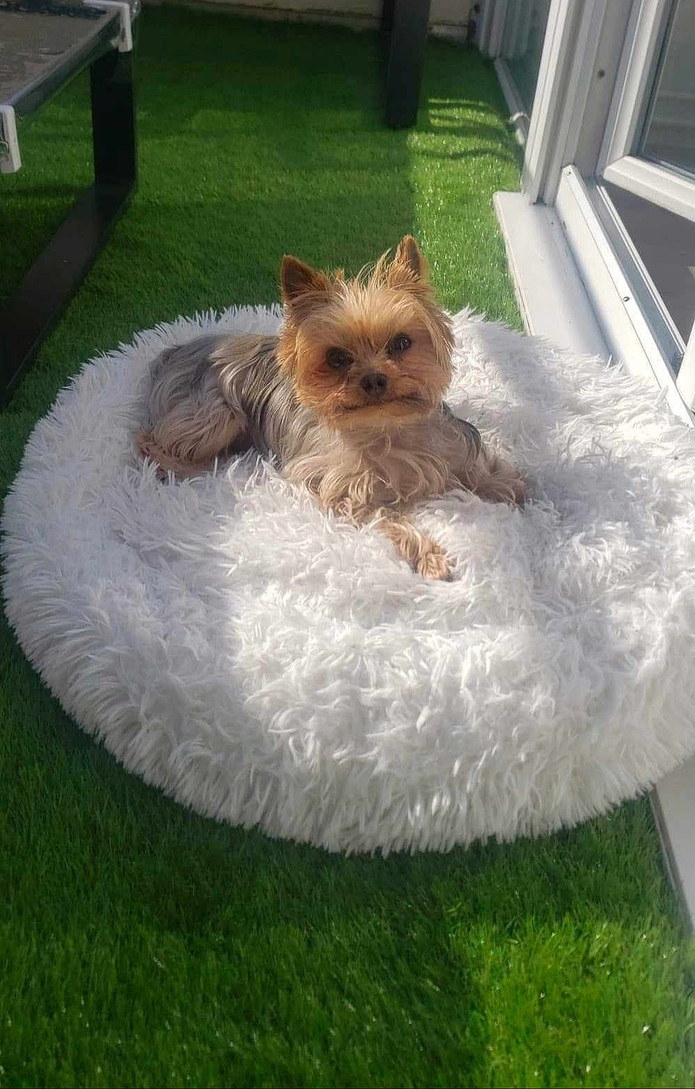 Leeloo