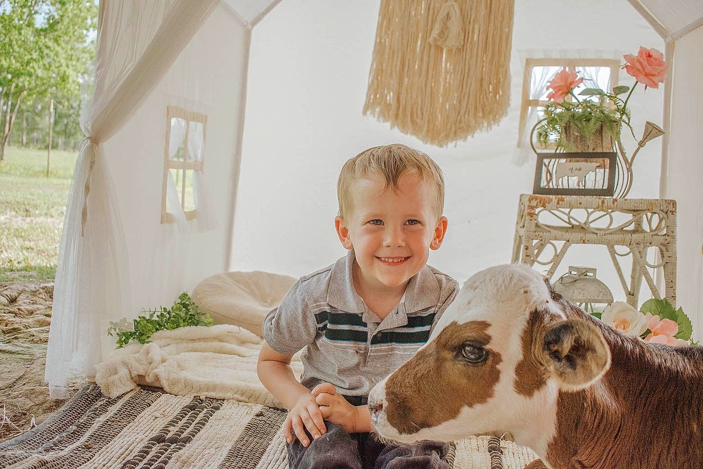 Julius joined the competition — help win amazing prizes! art, chair, child, companion_dog, fawn, grass, happy, house, joy, leg, leisure, livestock, person, plant, sitting, smile, terrestrial_animal, toddler, tree, white