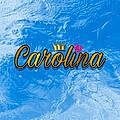Carolina V. H.