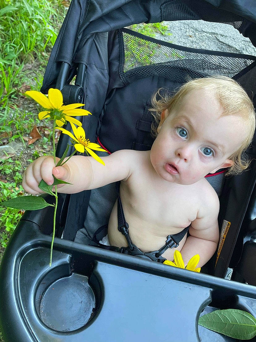Brandon joined the competition — help win amazing prizes! auto_part, baby, baby_products, child, eye, finger, flower, fun, grass, hand, happy, leisure, people_in_nature, person, petal, photograph, plant, sitting, summer, surprise