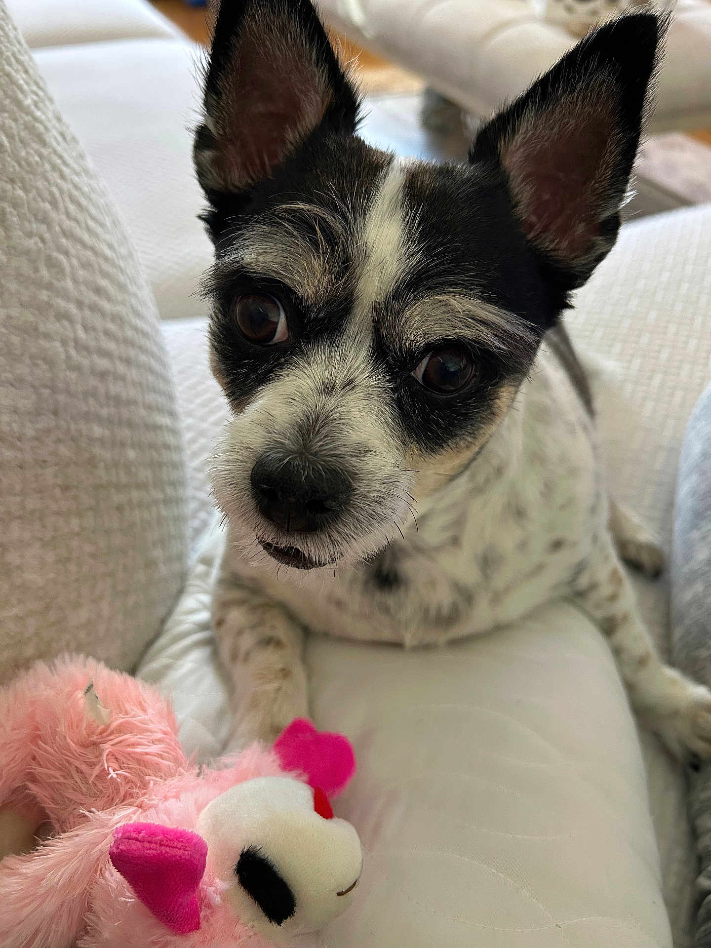 Coco