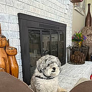 Emmett is registered to the contest to win money with this photo: dog, fireplace, white_brick, wooden_sculptures, cat_sculptures, fluffy, gray_and_white, collar, home_decor, basket, flowers, vase, chair, couch, indoor, pet, relaxed, sitting, cozy, living_room