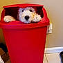 animal, container, cozy, cute, dog, floor, floor_tiles, funny, hiding, home_interior, household, indoor, nose, paws, peek, pet, puppy, red_trash_bin, wall, white_fur