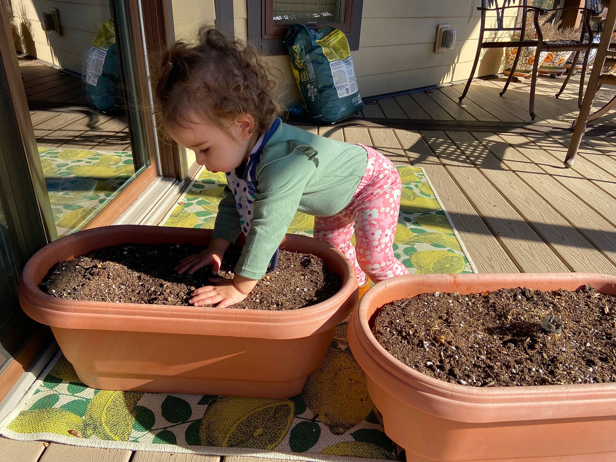 Laurel joined the competition — help win amazing prizes! child, compost, fertilizer, flowerpot, fun, garden, gardening, herb, houseplant, person, plant, play, soil, t_shirt, toddler