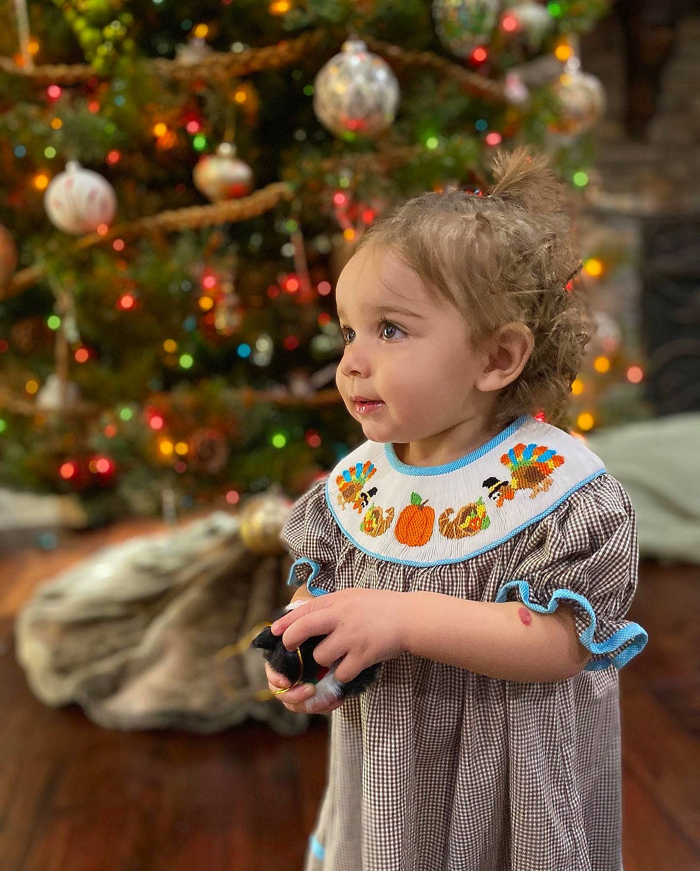 Laurel is registered to the contest to win money with this photo: baby_toddler_clothing, beauty, child, christmas, christmas_ornament, christmas_tree, event, eye, face, fun, happy, holiday, human_body, iris, leaf, person, plant, sleeve, standing, toddler