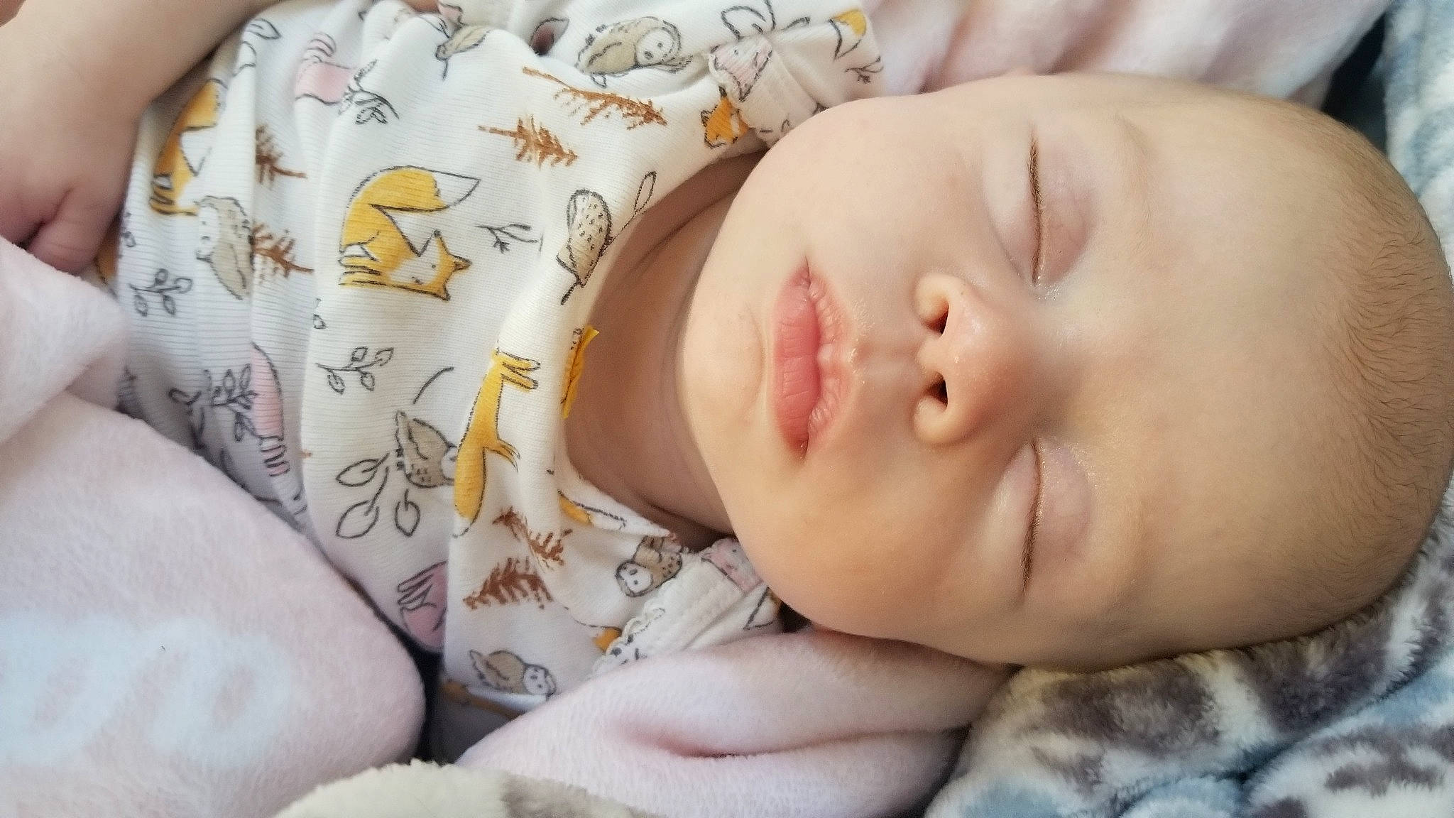 Adley is registered to the contest to win money with this photo: baby, baby_sleeping, baby_toddler_clothing, bedtime, cheek, child, comfort, eye, eyelash, finger, lip, nail, nap, neck, nose, pattern, person, skin, sleeve, toddler