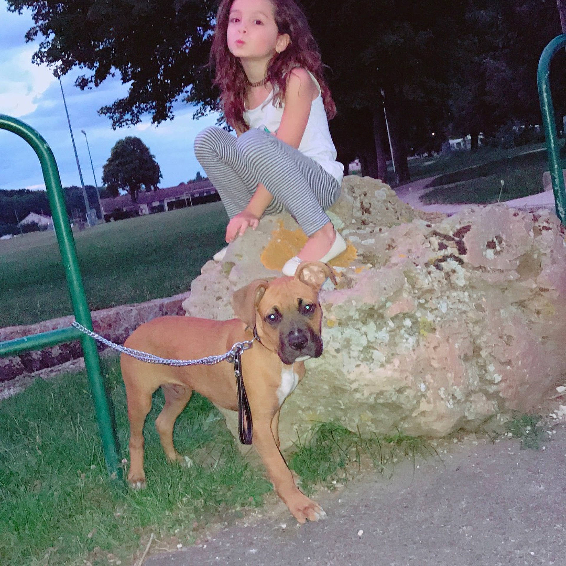 Julia participe au concours pour gagner de l'argent avec cette photo : dog, dog_breed, dog_crossbreeds, dog_like_mammal, dog_walking, fawn, person, rhodesian_ridgeback, snout