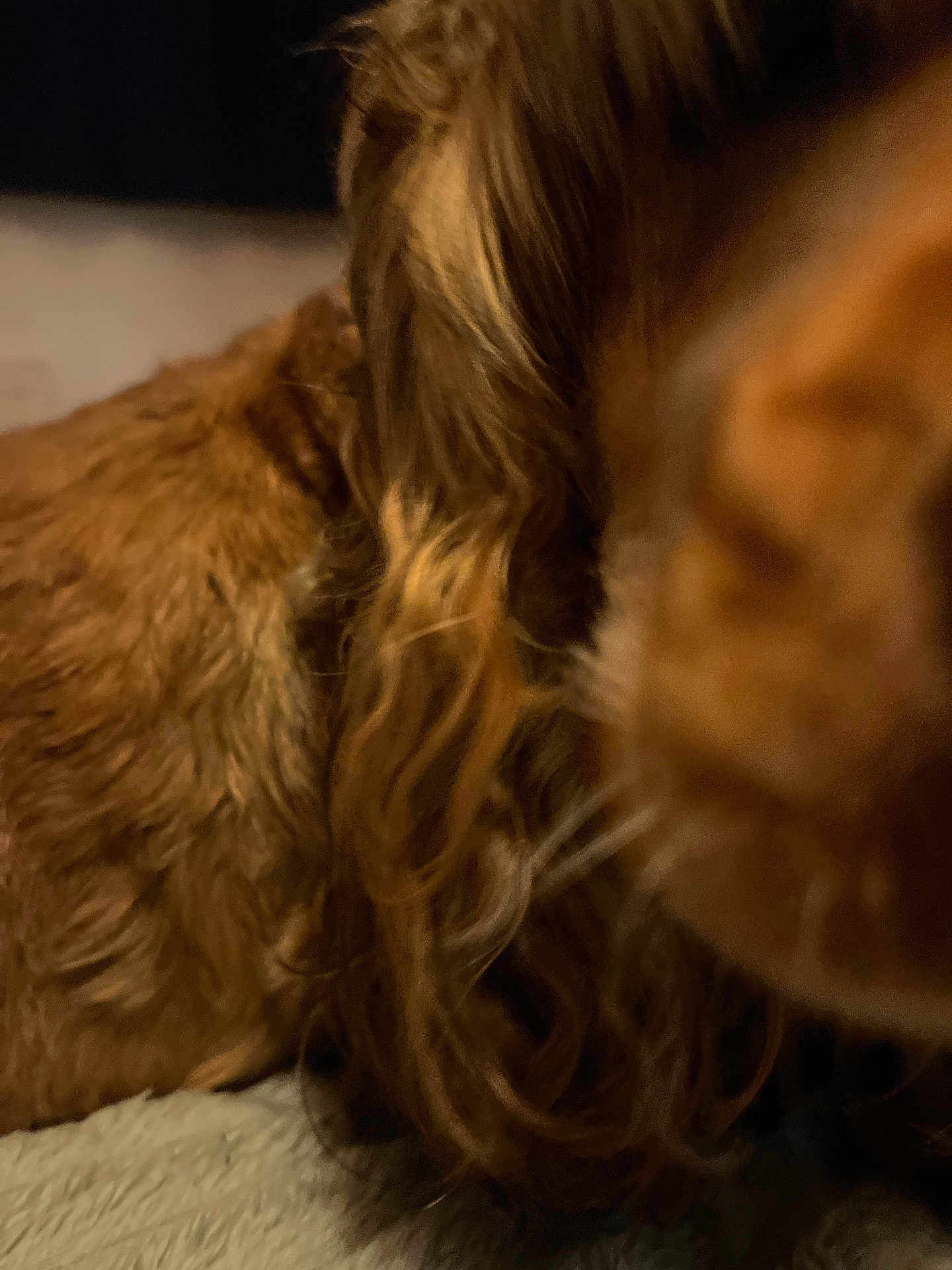 Coco