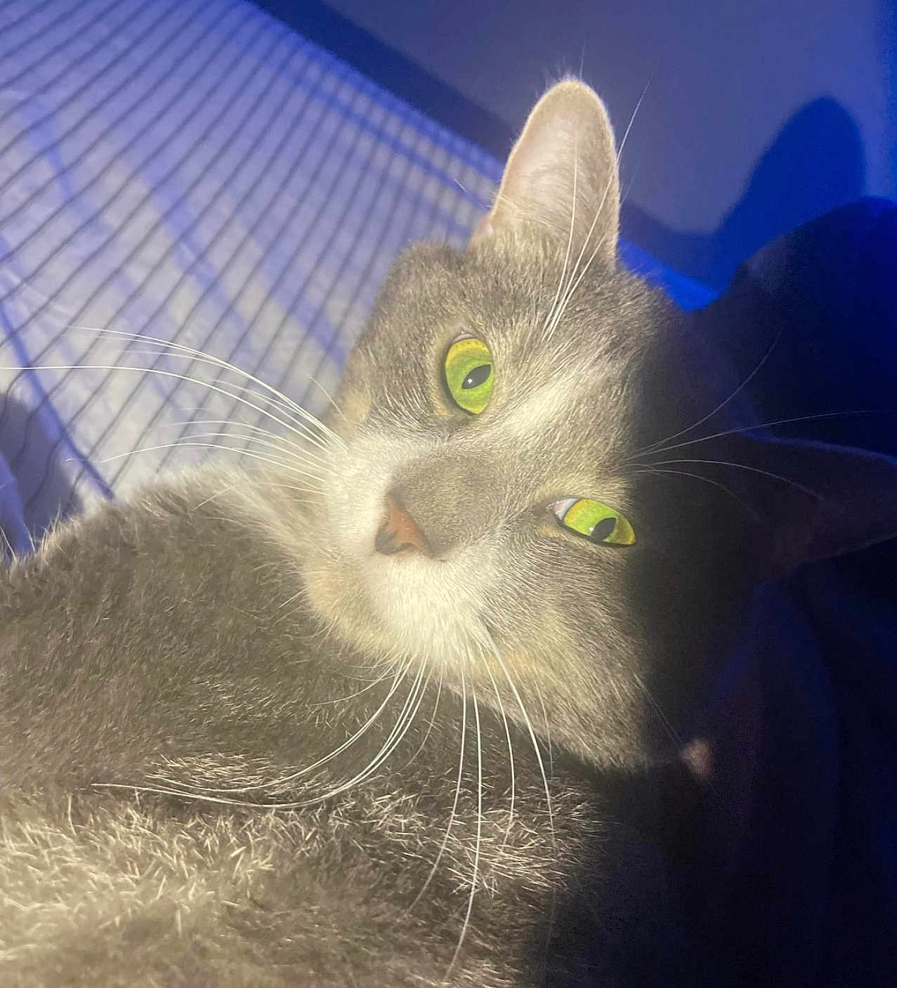 Max