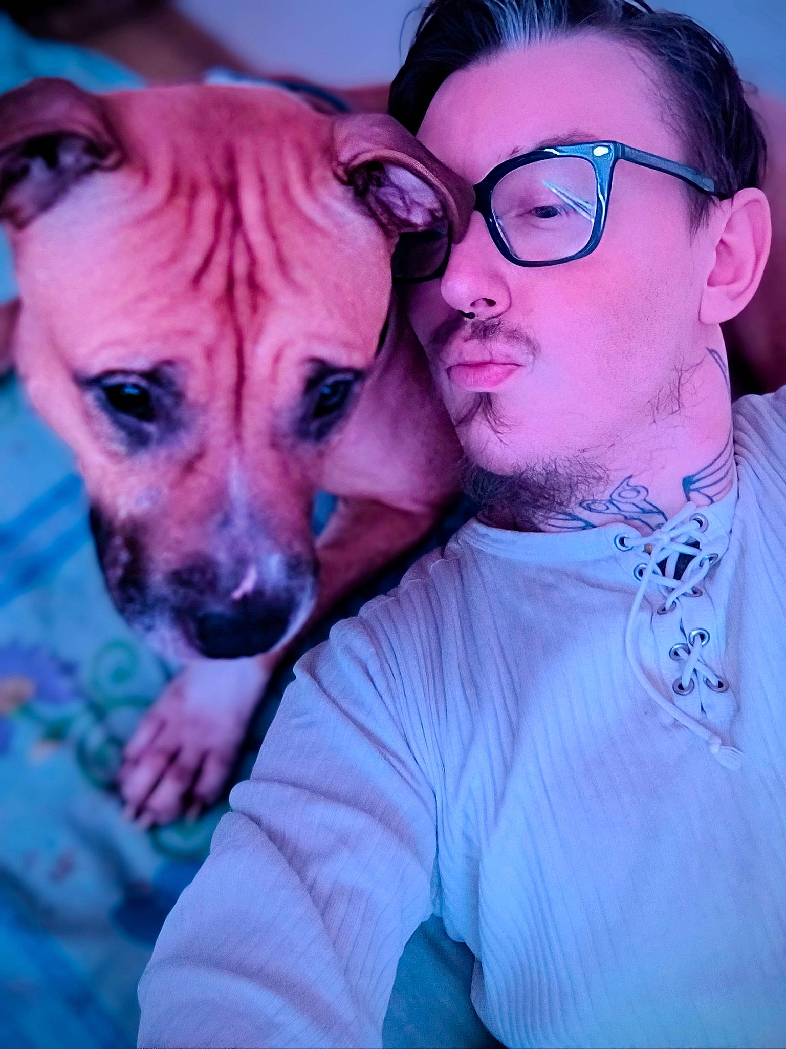 Cynda participe au concours pour gagner de l'argent avec cette photo : beard, blue, carnivore, companion_dog, dog, dog_breed, ear, eye, eyewear, fawn, gesture, glasses, happy, head, jaw, mouth, nose, purple, snout, vision_care