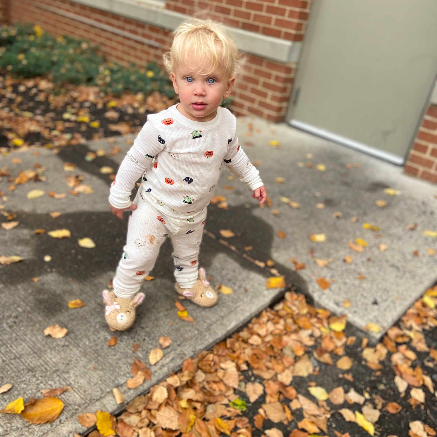 Kaylani is registered to the contest to win money with this photo: baby, blonde, city, clothing, face, footwear, hair, head, leaf, pants, path, person, photography, plant, portrait, road, shoe, street, urban, walking