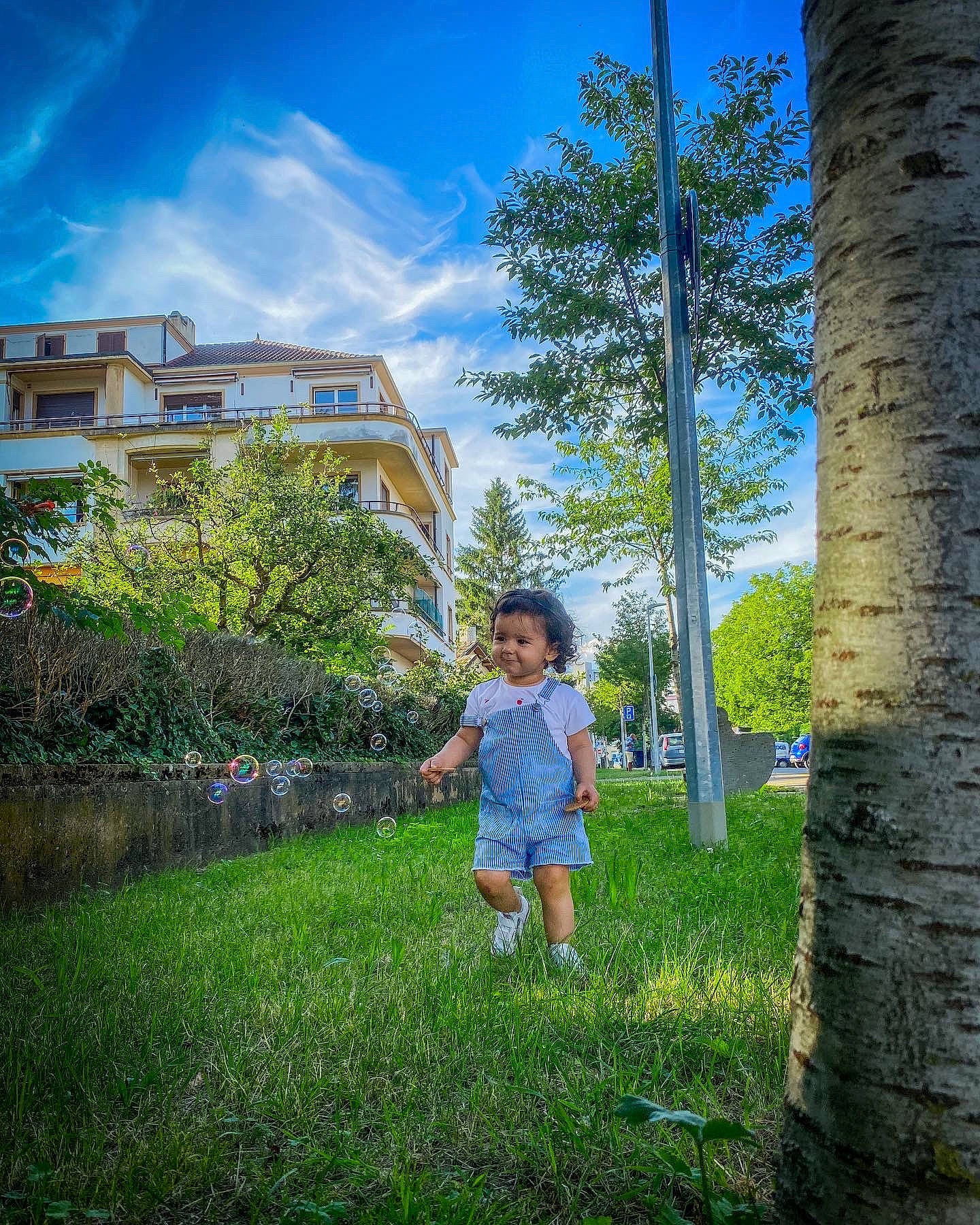 Ariana participe au concours pour gagner de l'argent avec cette photo : azure, botany, cloud, grass, happy, landscape, leaf, leisure, morning, nature, people_in_nature, person, plant, sky, summer, sunlight, tints_and_shades, toddler, tree, vegetation