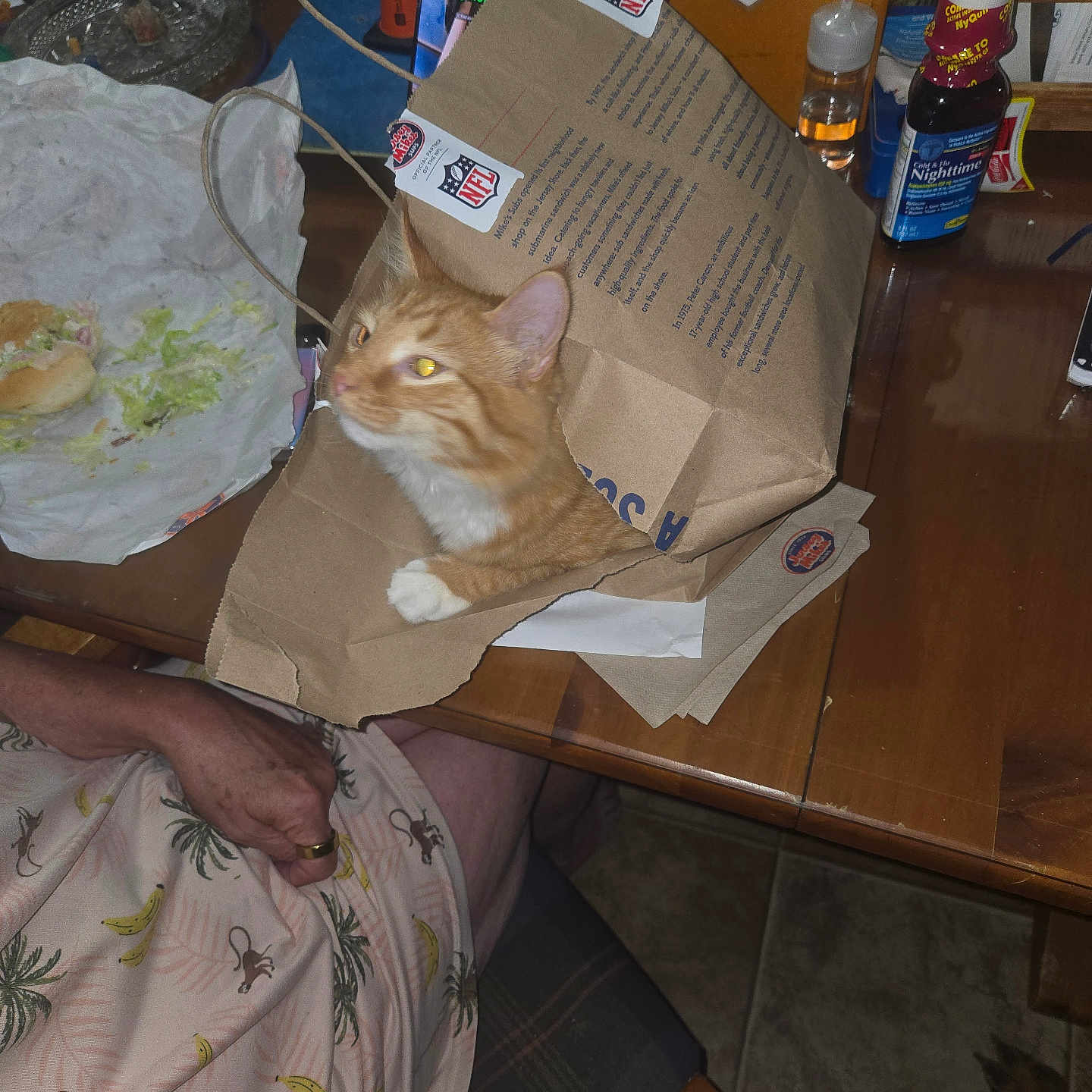 Charlie is registered to the contest to win money with this photo: cat, chair, clutter, floor_tile, food, glass_bottle, hand, household_items, indoor, napkins, orange_tabby, paper_bag, patterned_clothing, person, pet, playful, ring, sandwich, shirt, table