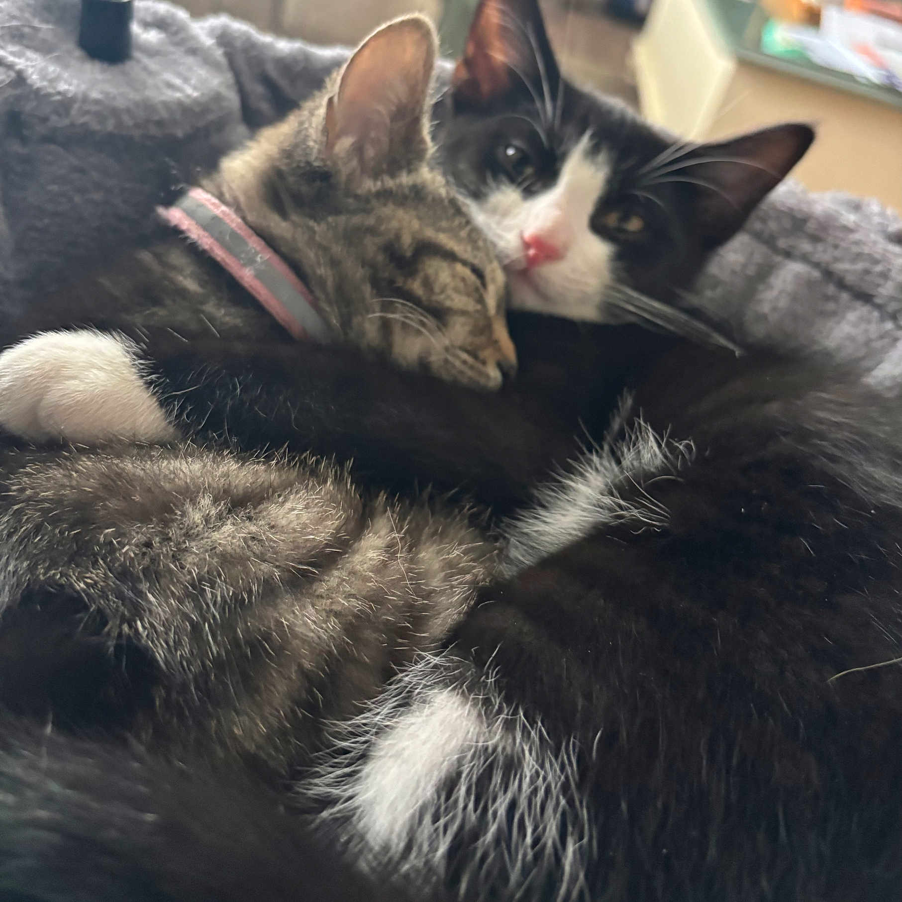 Betty And Buster