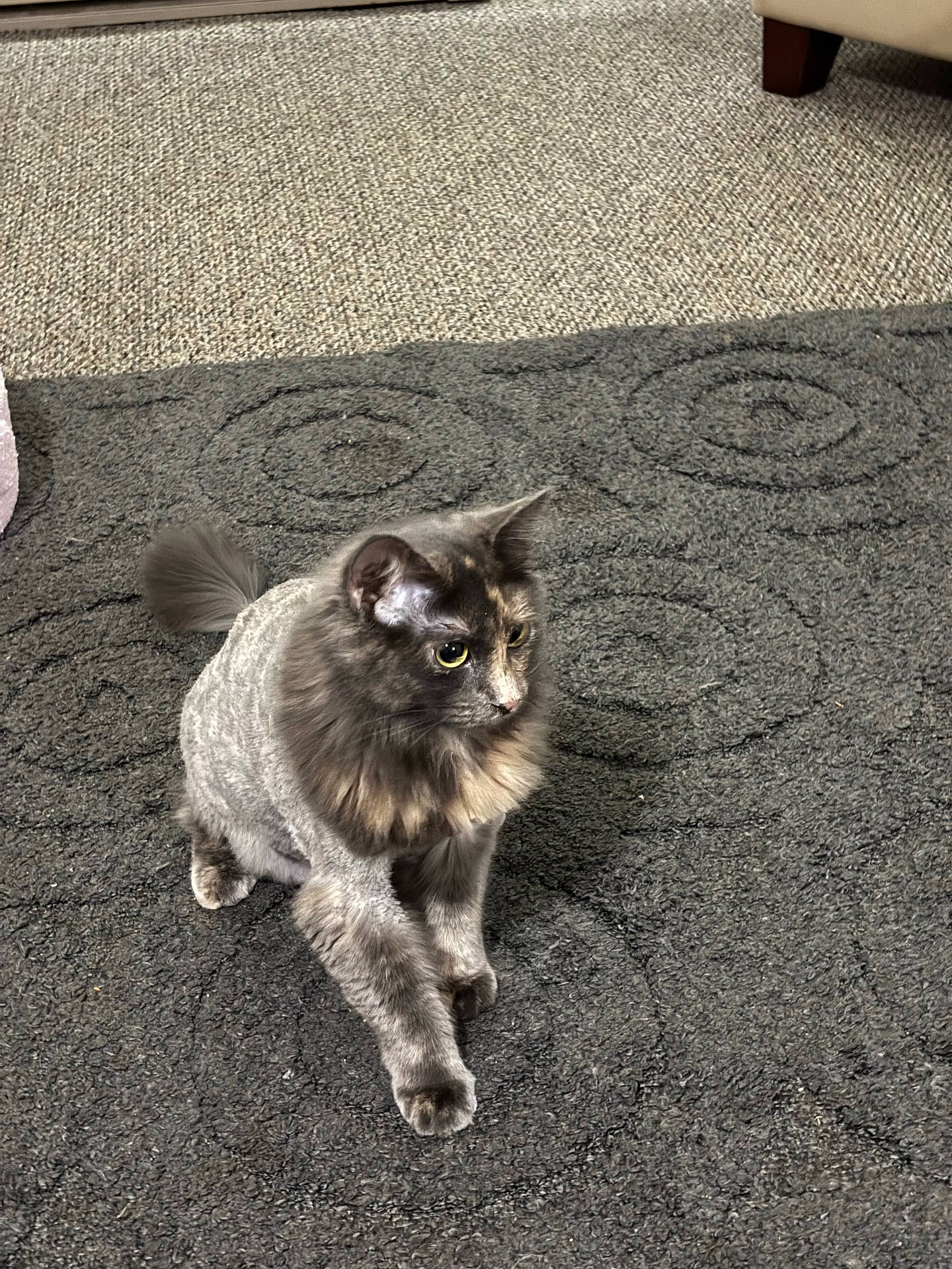 Missy